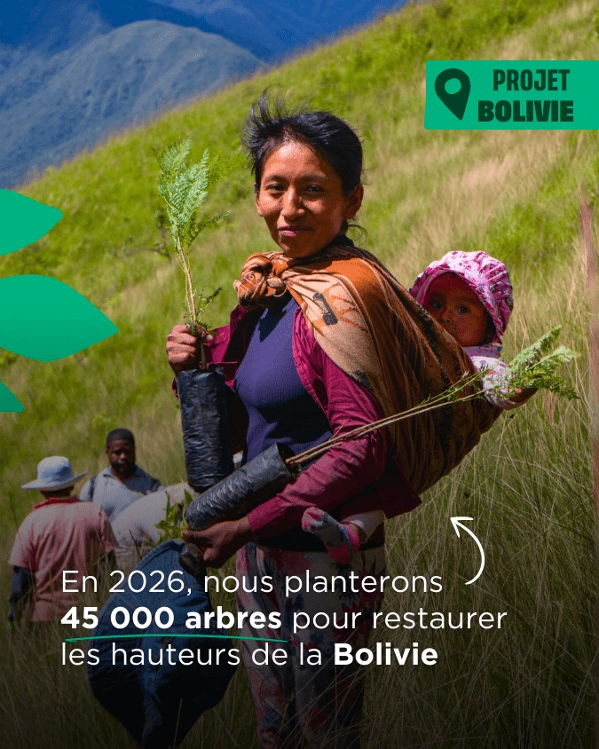 Objectifs 2026 de Coeur de Forêt en Bolivie