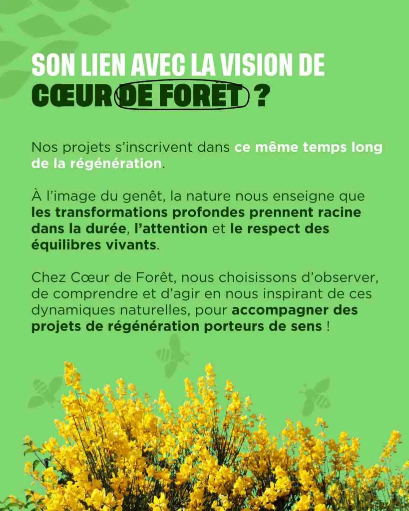 Les vœux de Cœur de Forêt pour 2026 !