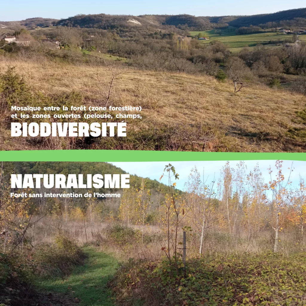 Photo montrant un paysage naturaliste et de biodiversité
