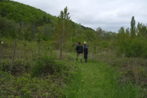 Terrain de Mr Robertson