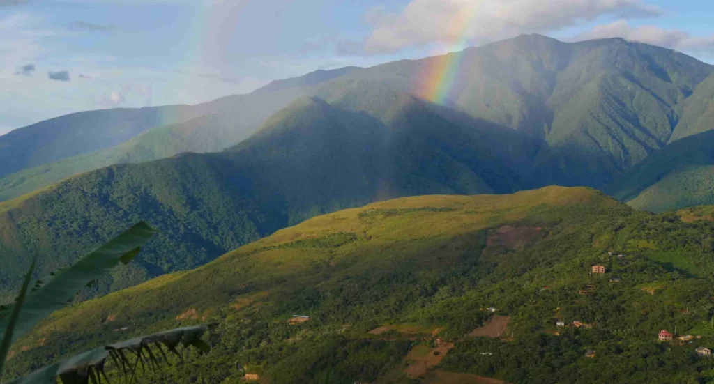 Forêt tropicale de Bolivie