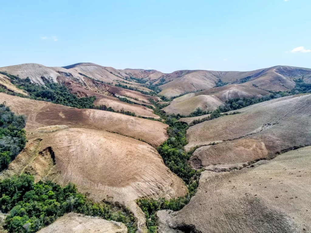 Photo de la forêt Ambaravaranala