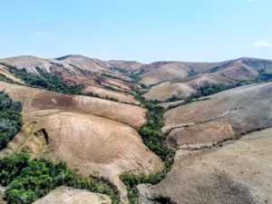 Photo de la forêt Ambaravaranala