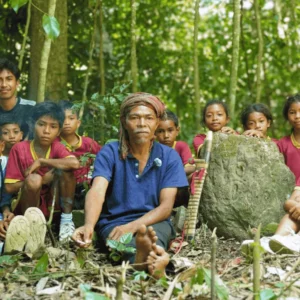 Transmission des savoirs ancestraux autour de la forêt en Indonésie