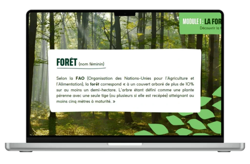 Replay du webinaire "Les forêts, des diversités à préserver de Coeur de Forêt"