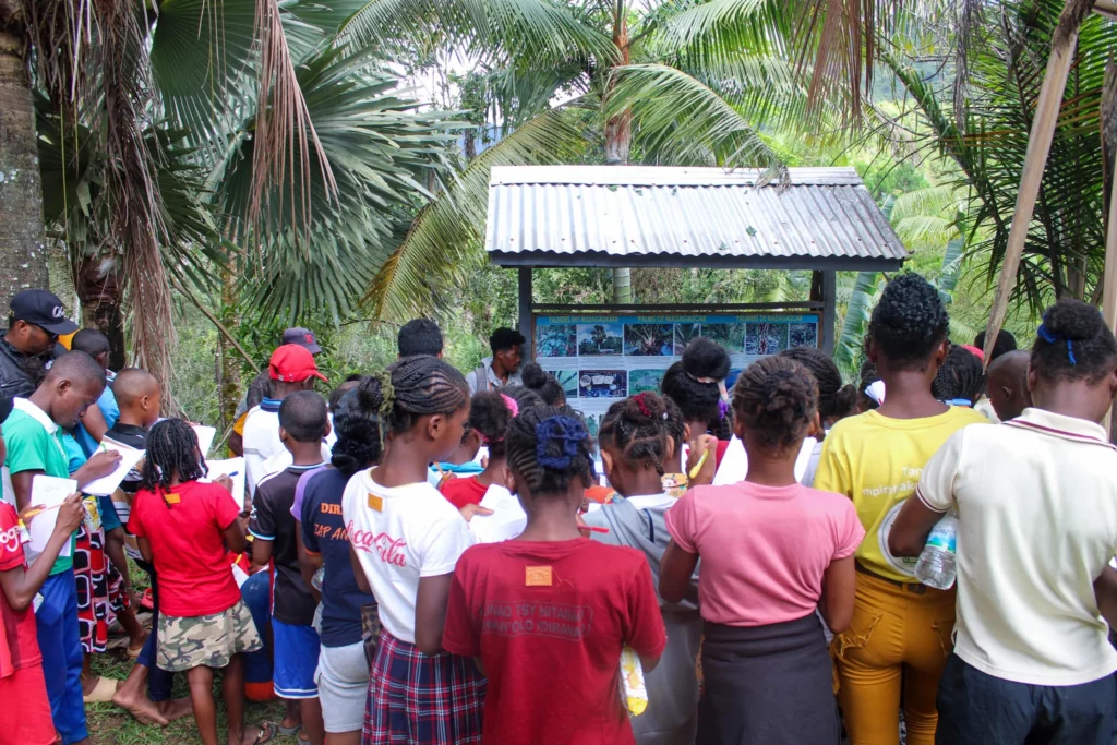 Les enfants observent la nature Madagascar