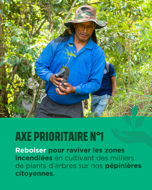 Bolivie, axe prioritaire 1