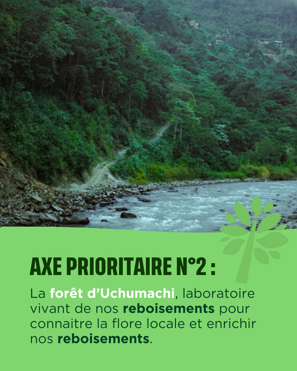 Bolivie, axe prioritaire 2