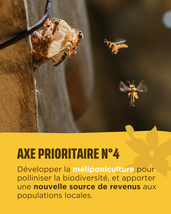 Bolivie, axe prioritaire 4