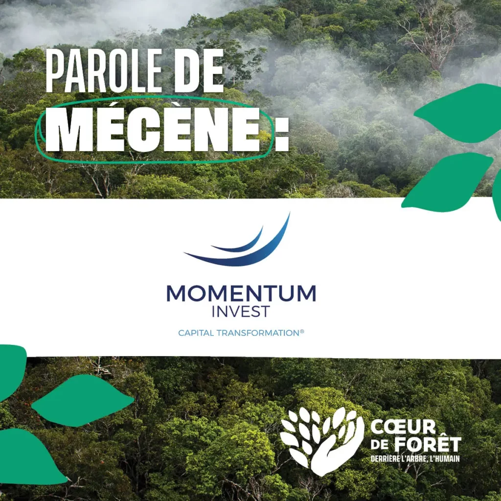 Parole de mécène : Momentum Invest