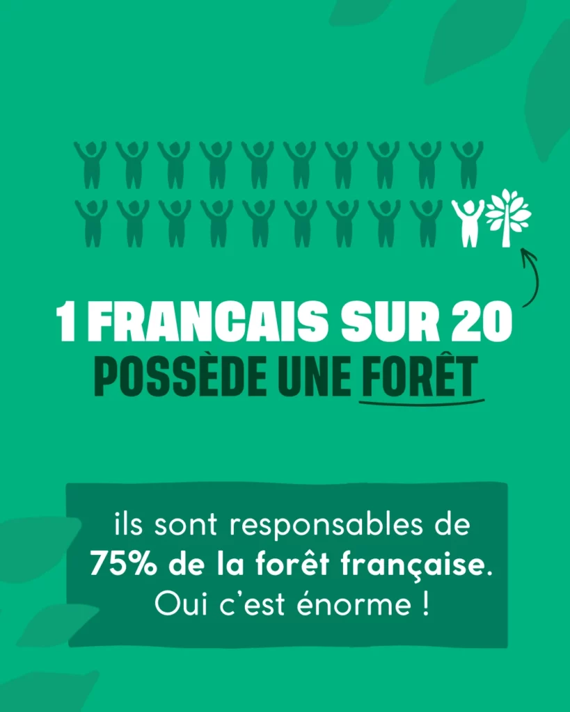 1 français sur 20 possède une forêt