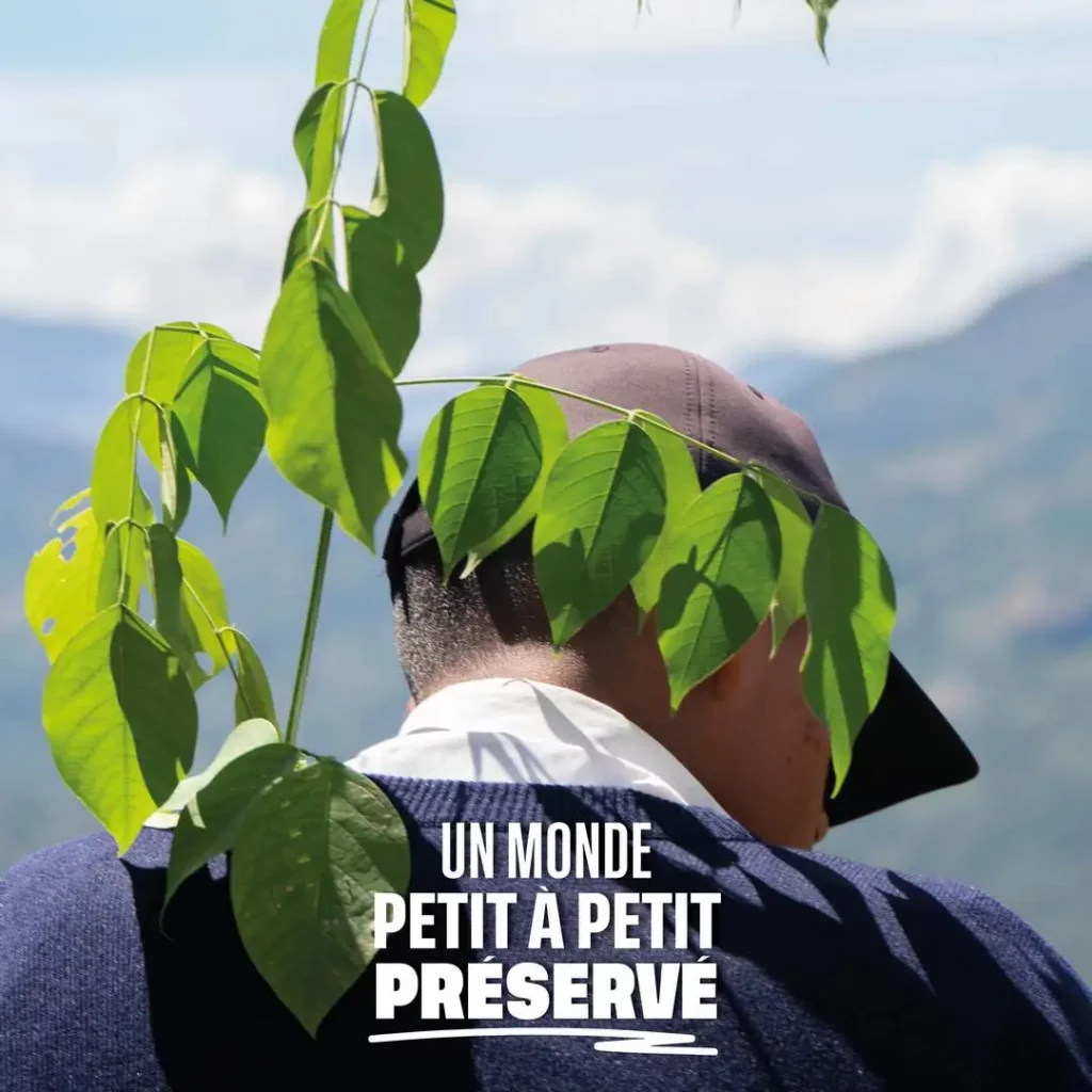 un monde petit à petit préservé