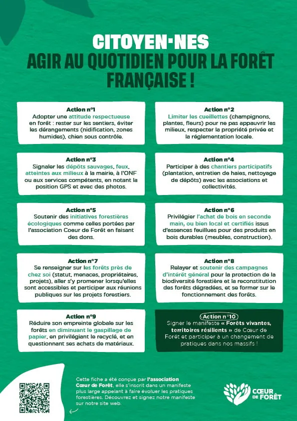 citoyen·nes, agir au quotidien pour la forêt française