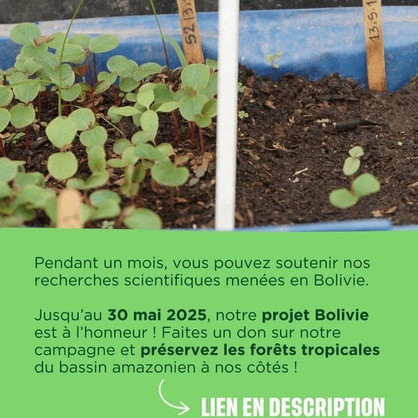 Soutenir le projet Bolivie