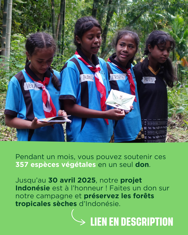 Soutenir le projet pendant 1 mois