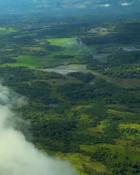 forêt tropicale sèche