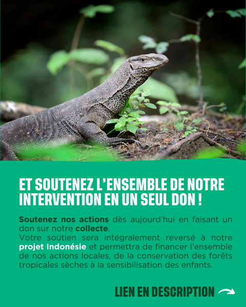 Protéger les forêts avec nous