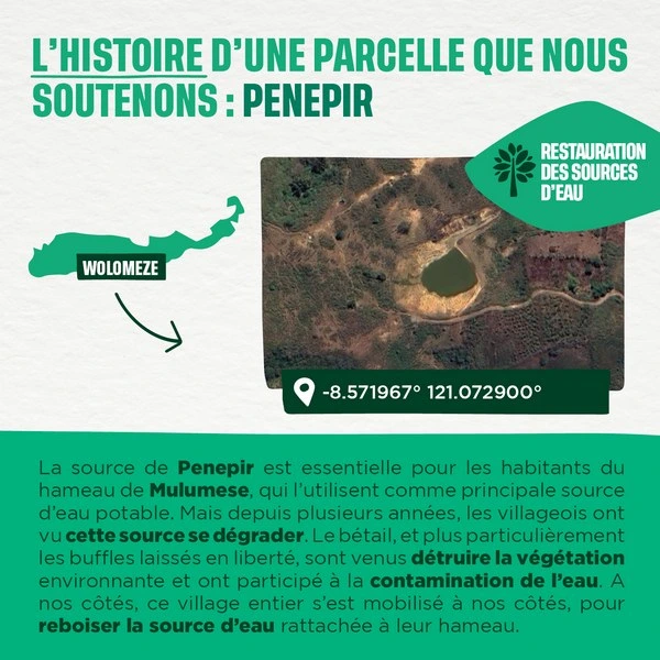 L'histoire de la parcelle penpir
