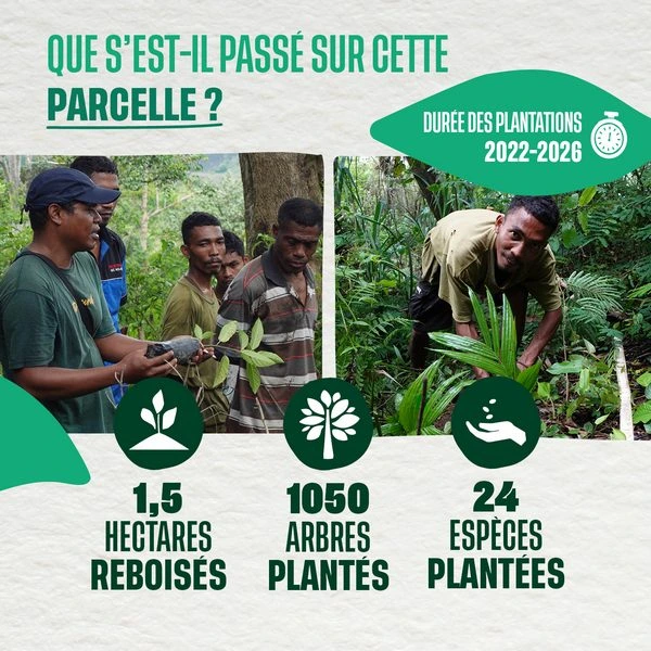 Que s'est-il passé sur cette parcelle