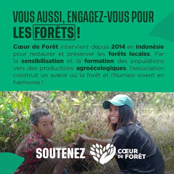 Vous aussi engagez vous à nos côtés pour préserver les forêts