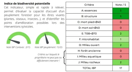 Schéma de la forêt de Mme Humblet
