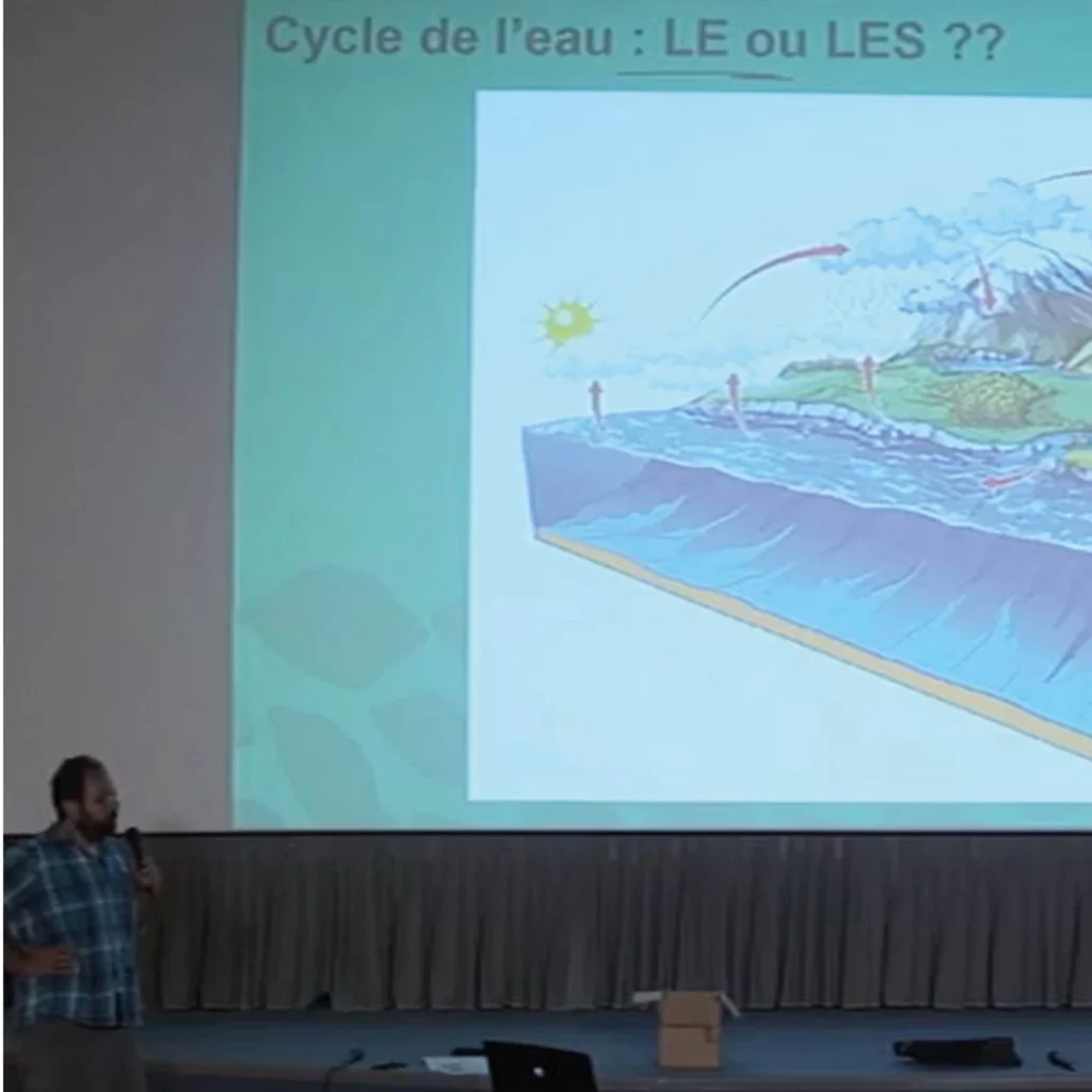 La forêt et le cycle de l'eau