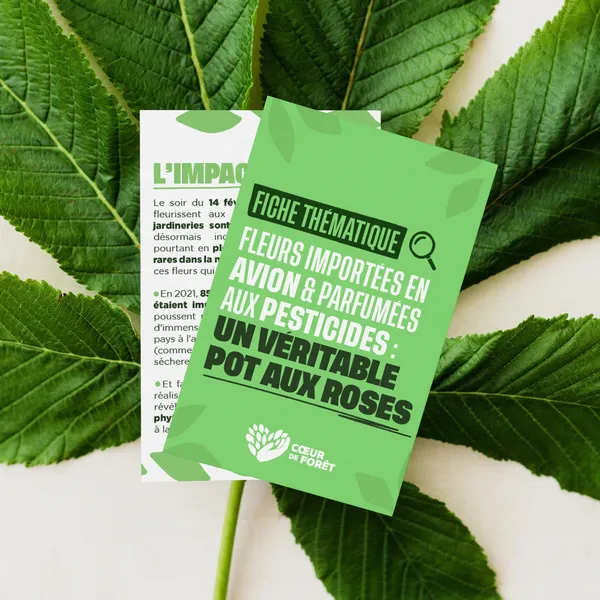Fiche thématique fleurs importées en avion et parfumées aux pesticides : un véritable pot aux roses