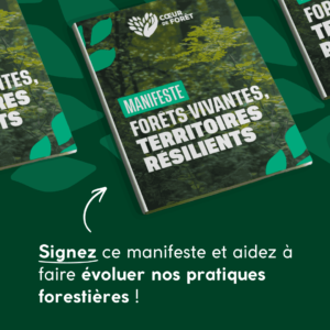Coeur de Forêt publie un Manifeste sur les forêts françaises