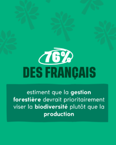 76% des français estiment que la gestion forestière devrait prioritairement viser la biodiversité plutot que la production