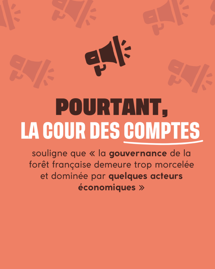 Pourtant la cour des comptes