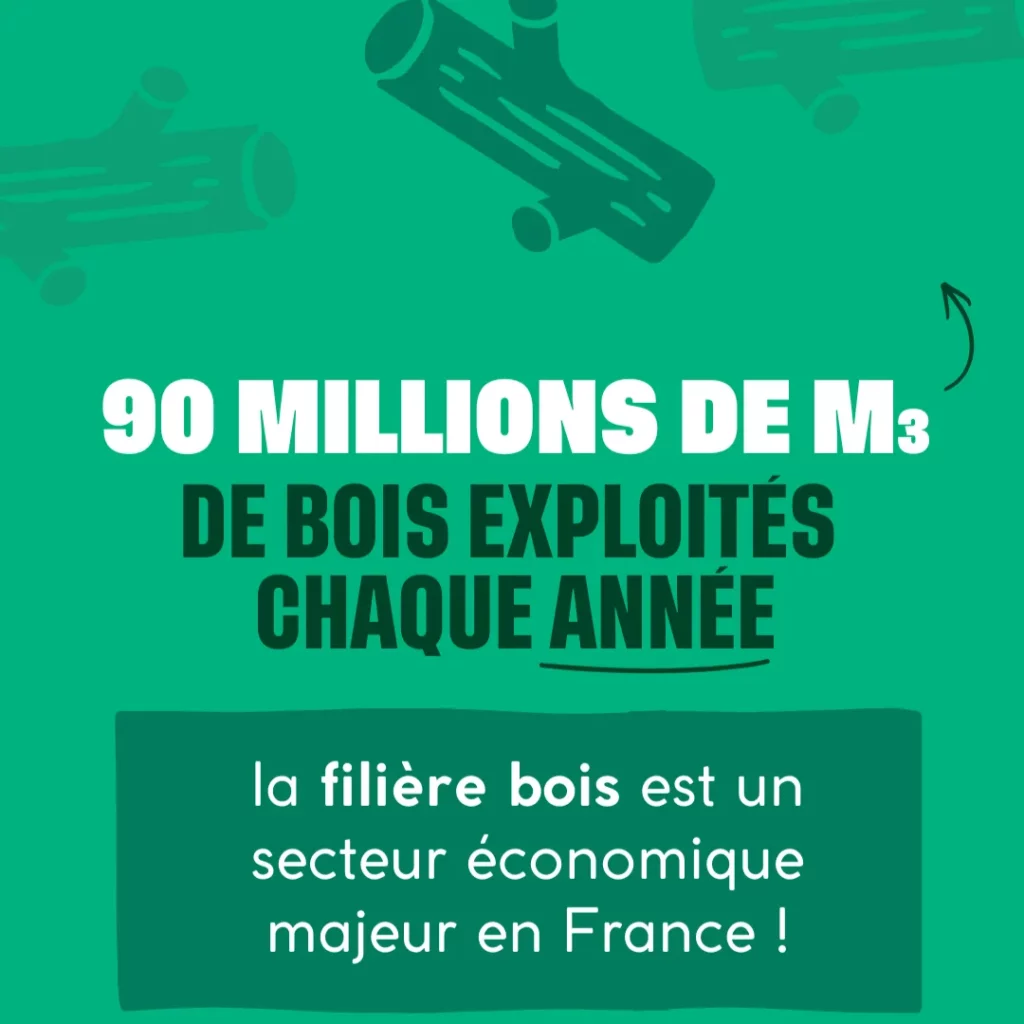 90 millions de m3 de bois exploités chaque années