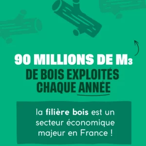 90 millions de m3 de bois exploités chaque années