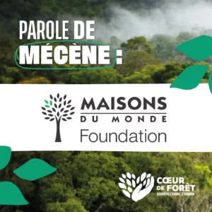 Mécène du mois : Maisons du Monde
