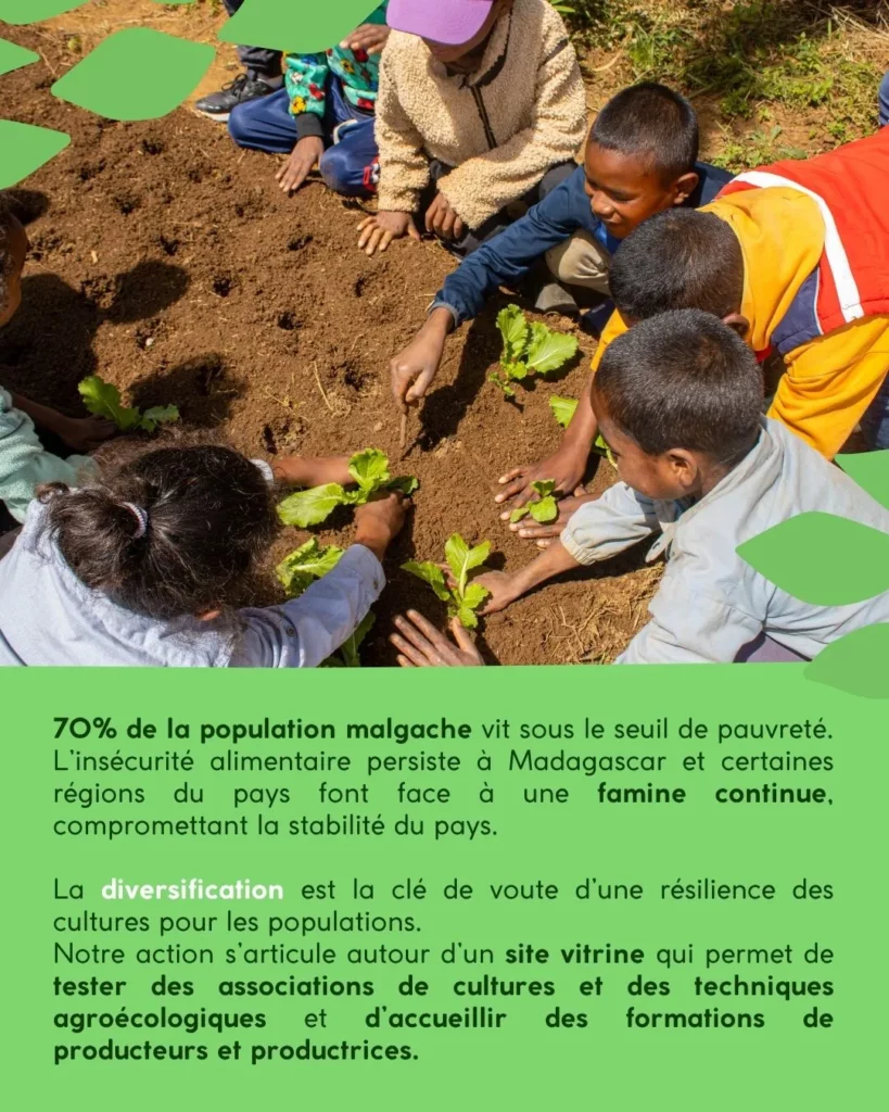 Transformer l’agriculture pour préserver durablement les forêts