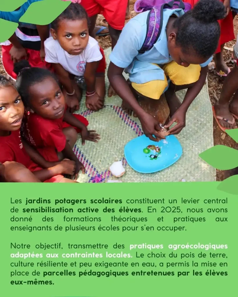 Les jardins potagers scolaires comme espaces d’apprentissage