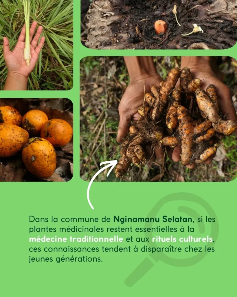 Des connaissances qui tendent à disparaître