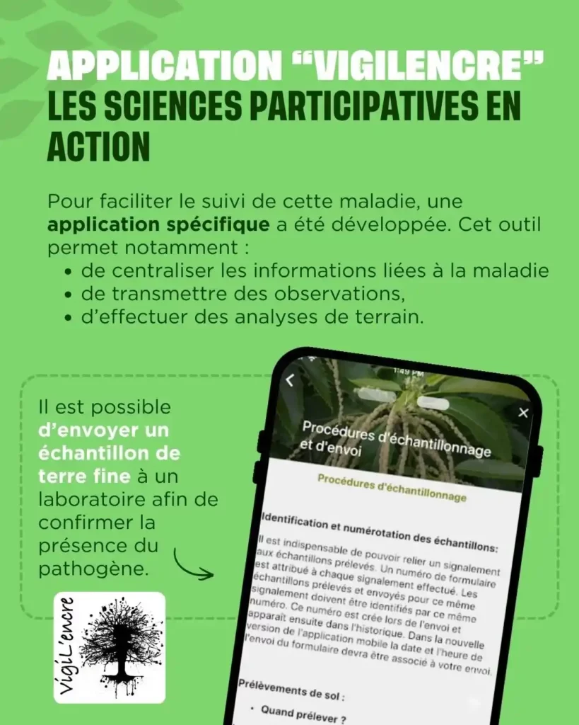 L'application Vigilencre