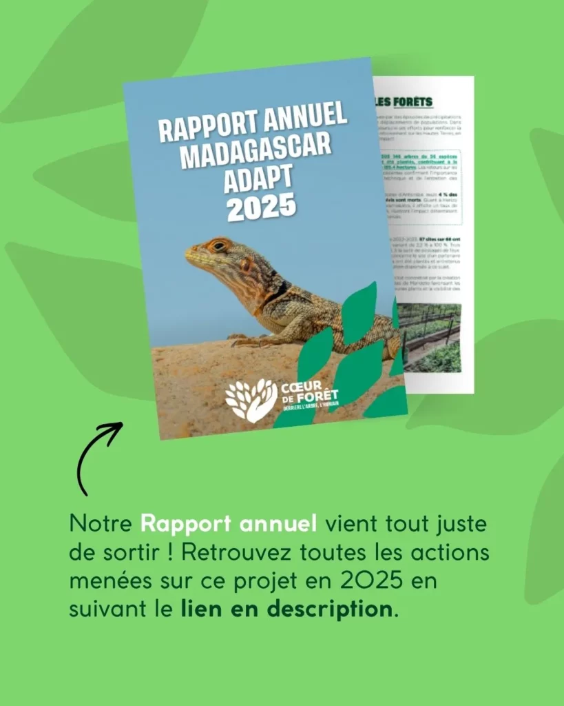 Rapport annuel