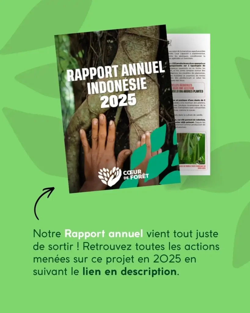Rapport Annuel Indonésie