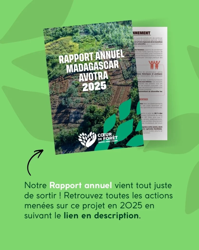 Le rapport annuel Indonésie 2025