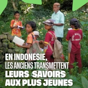 Transmettre les savoirs en Indonésie