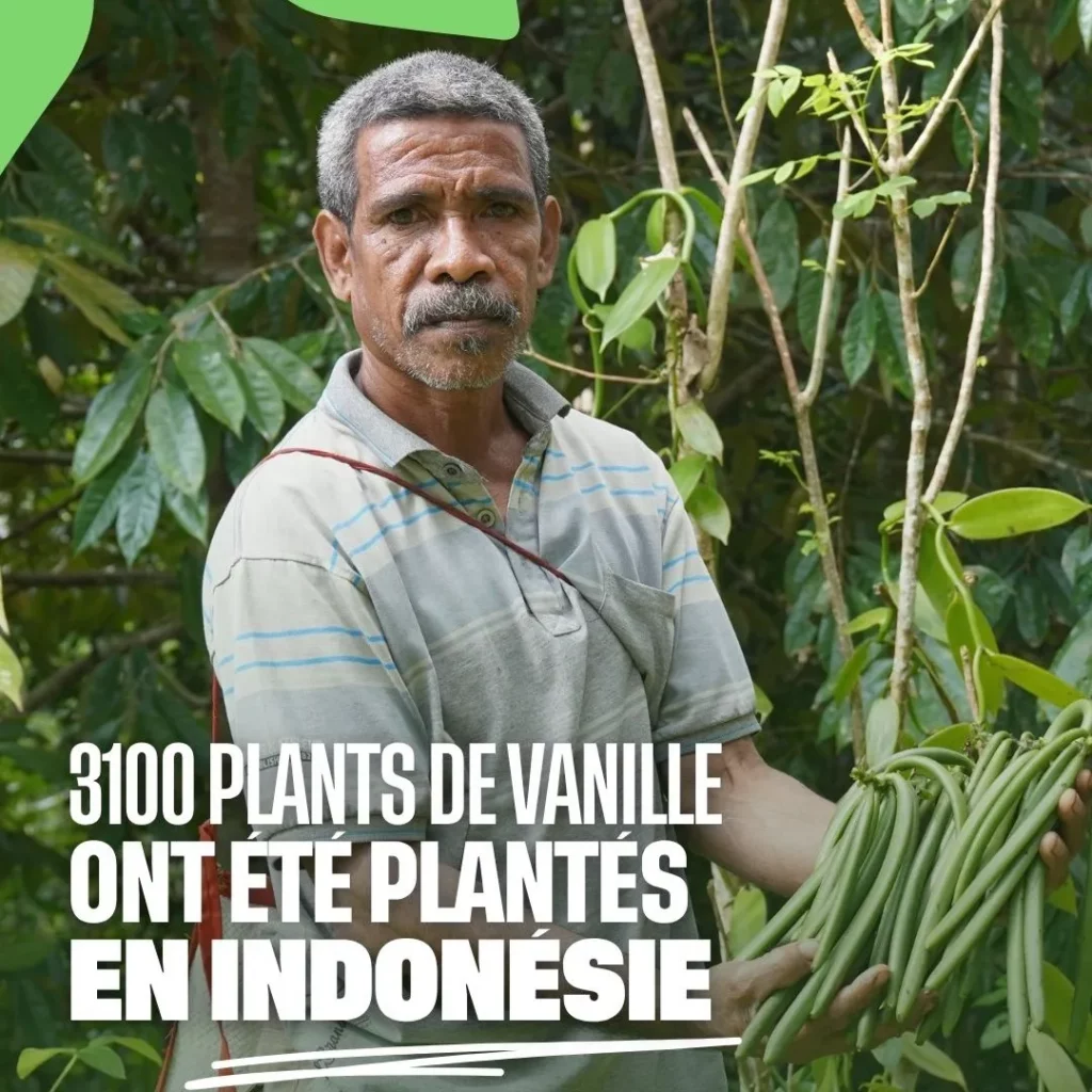 3000 plants de vanille ont été plantés en Indonésie