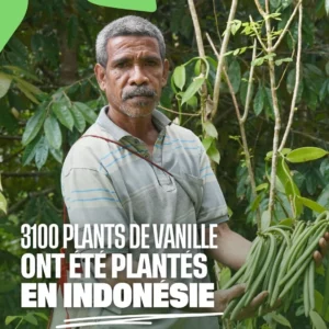 3000 plants de vanille ont été plantés en Indonésie