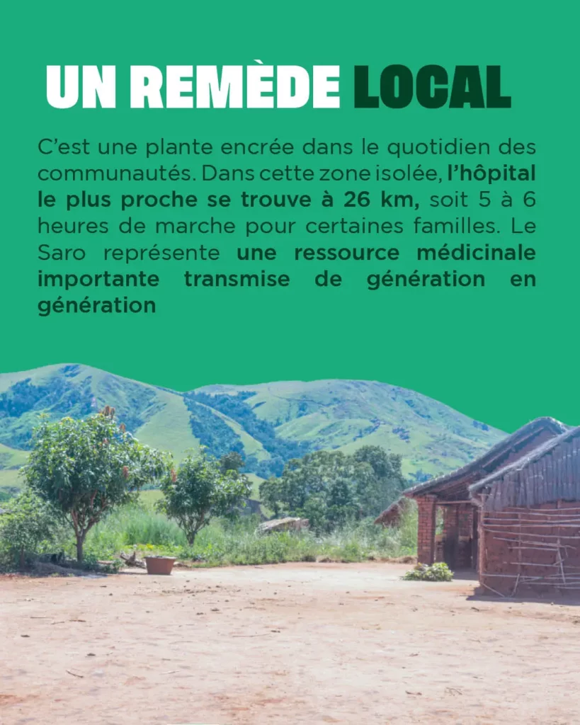 Le saro, un remède local