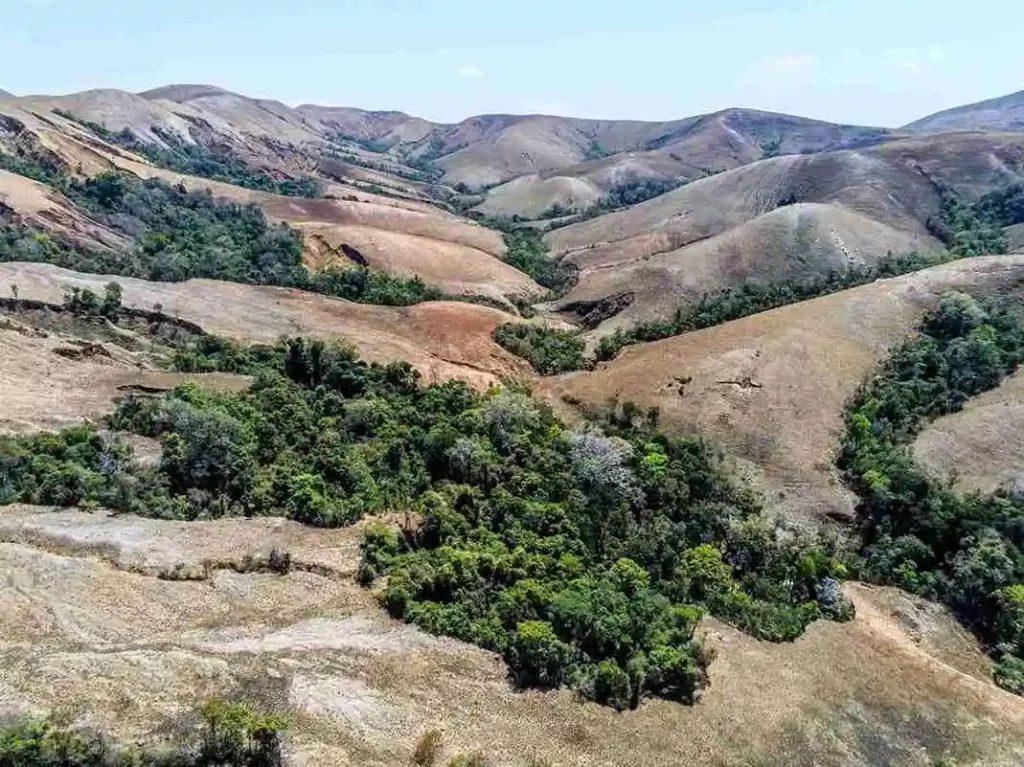 la forêt d’Ambaravaranala à Madagascar