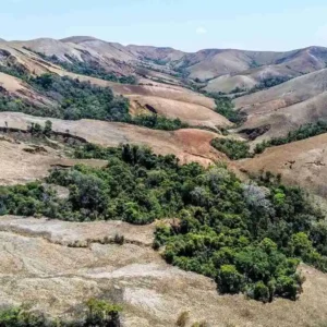 la forêt d’Ambaravaranala à Madagascar