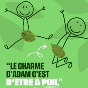 Le charme d'adam c'est d'être à poil : comment différencier le hêtre et le charme