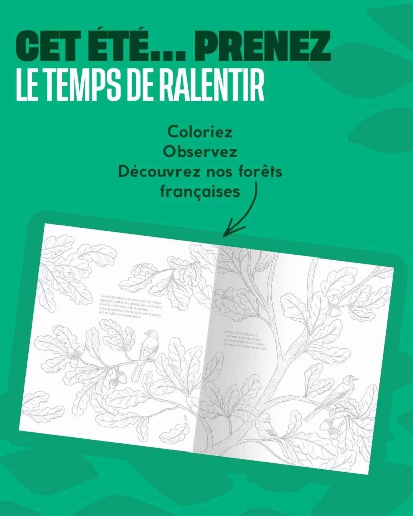 prendre le temps de ralentir