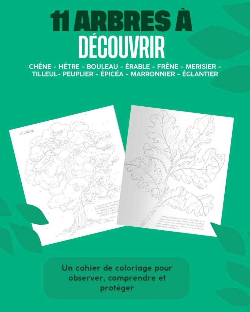 11 arbres à découvrir