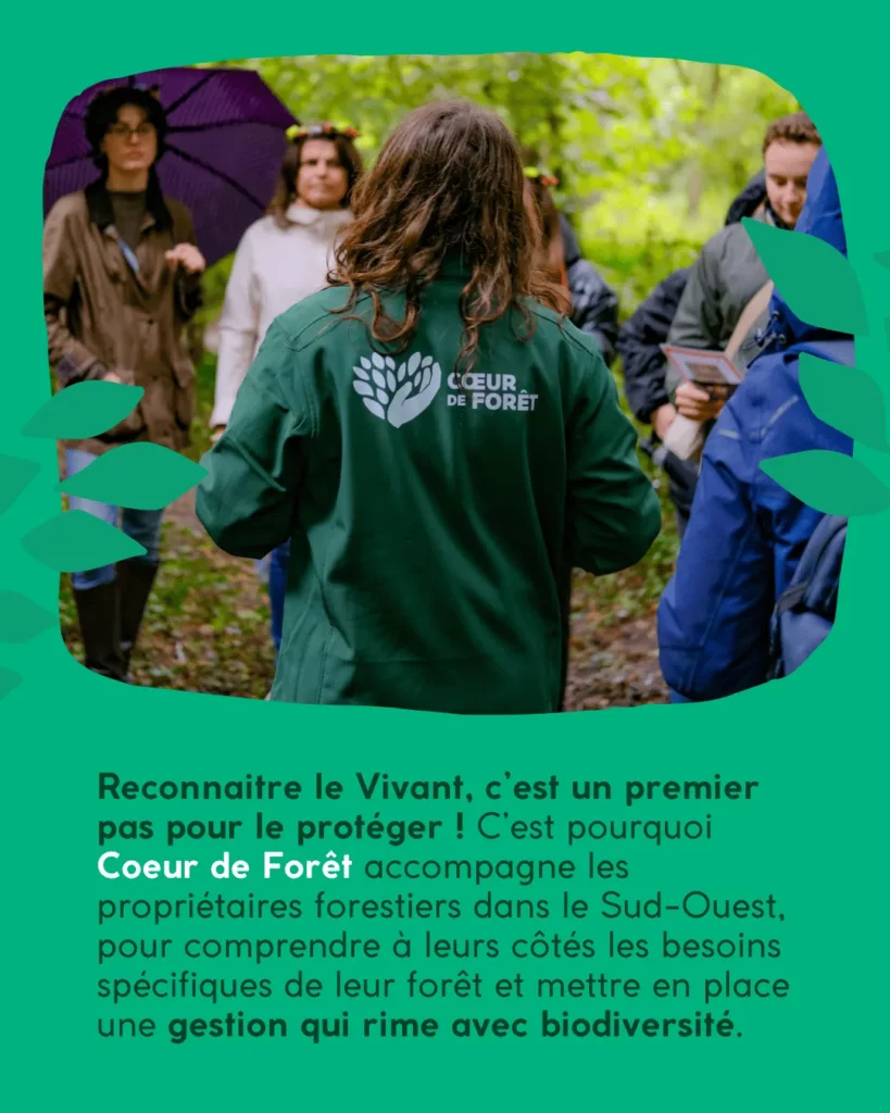 Agir pour les forêts en france